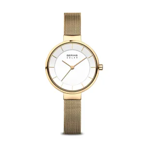 Bering - Classic Solar (14631-324)
