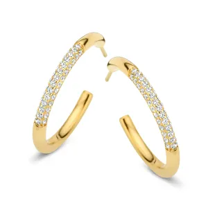 Boucles d'oreilles Naiomy - Plaqué or et zircons (N3W63)