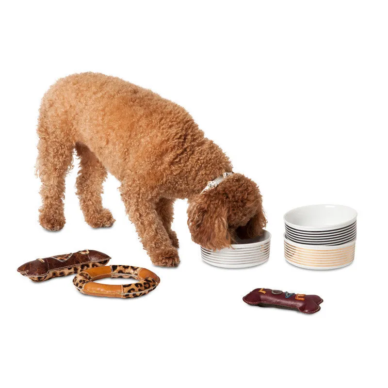 Ceramic Dog Bowl