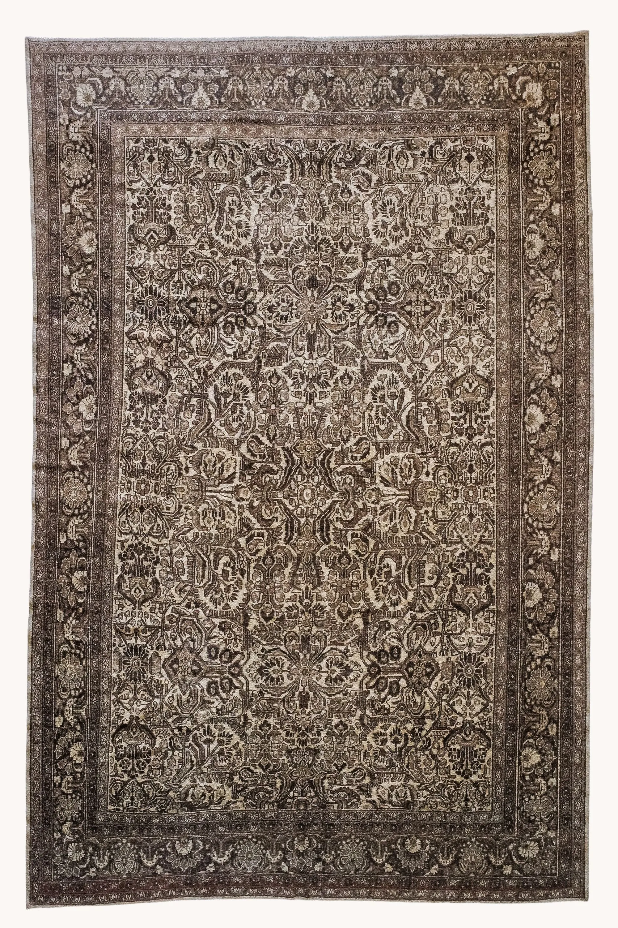 Choteau | 8'9 x 11'11