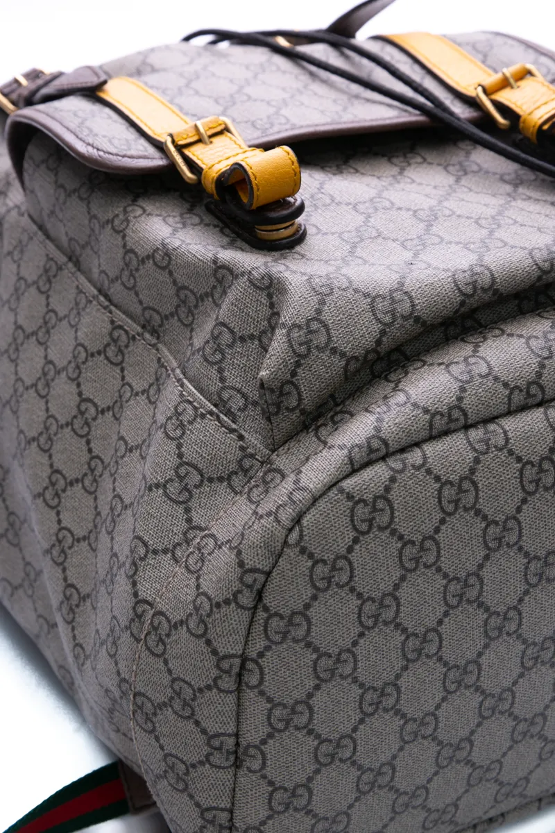 Courrier Soft Backpack