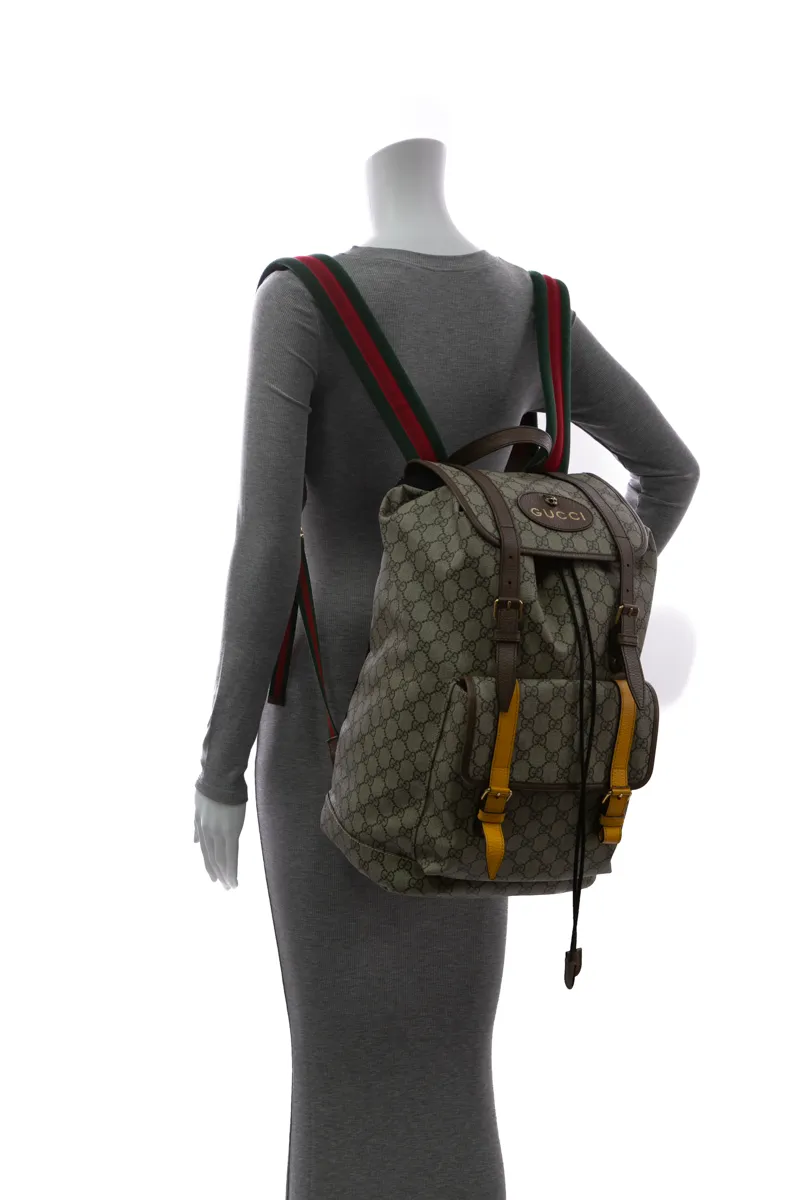 Courrier Soft Backpack