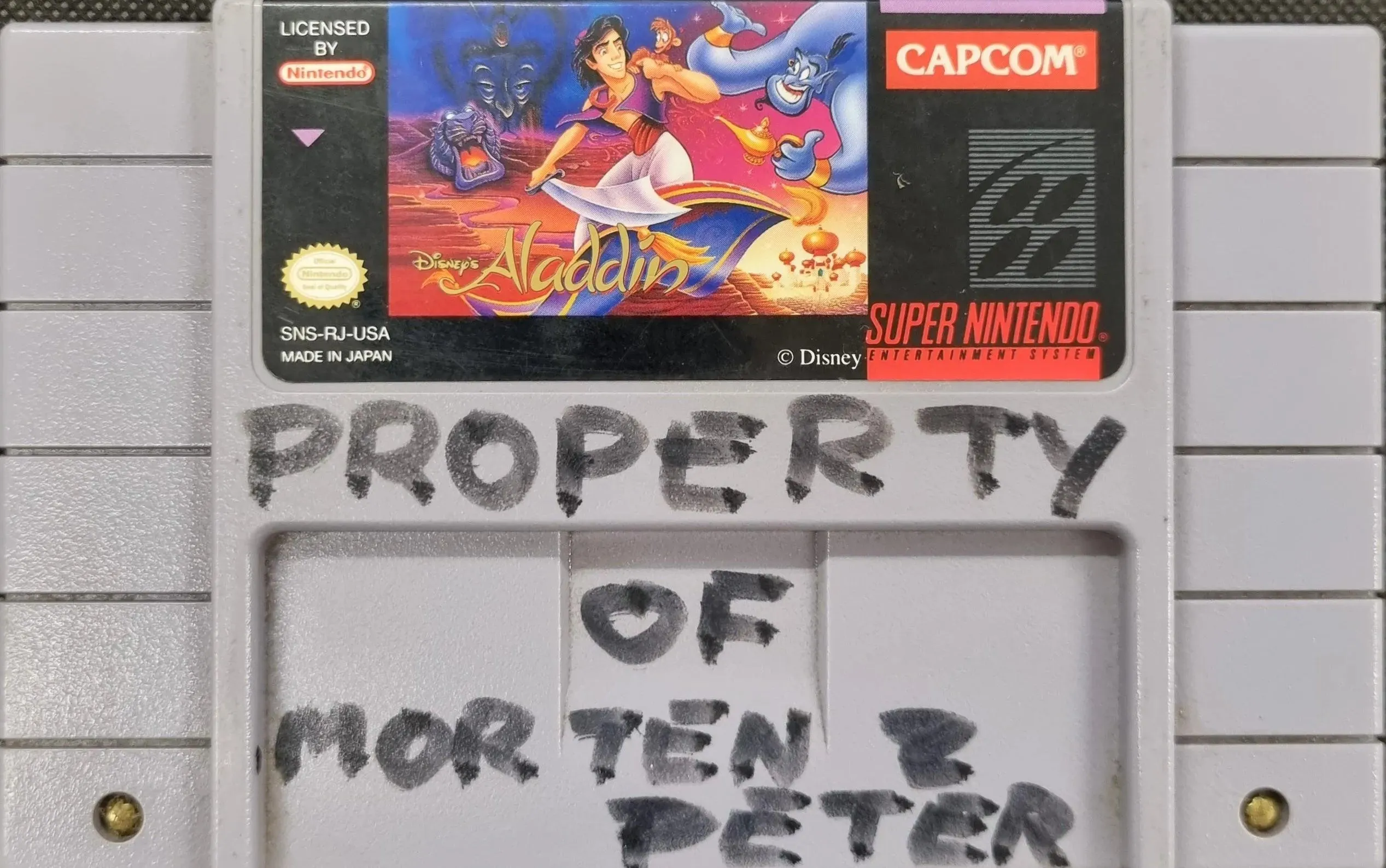Disney's Aladdin (NTSC) (Kosmetiske fejl)