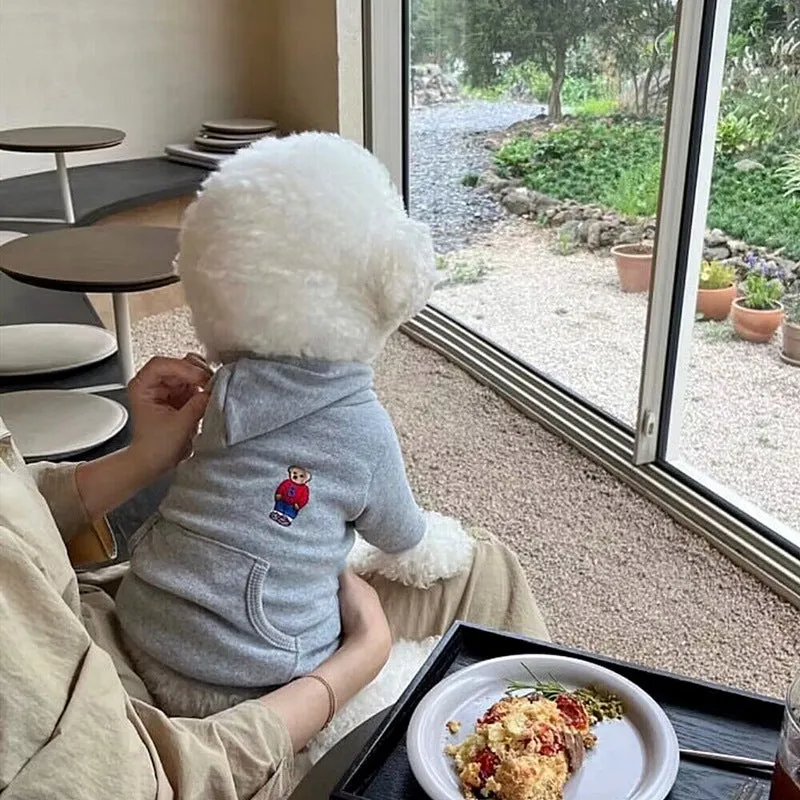 Dog Clothes Cartoon Bear Satchel Sweater