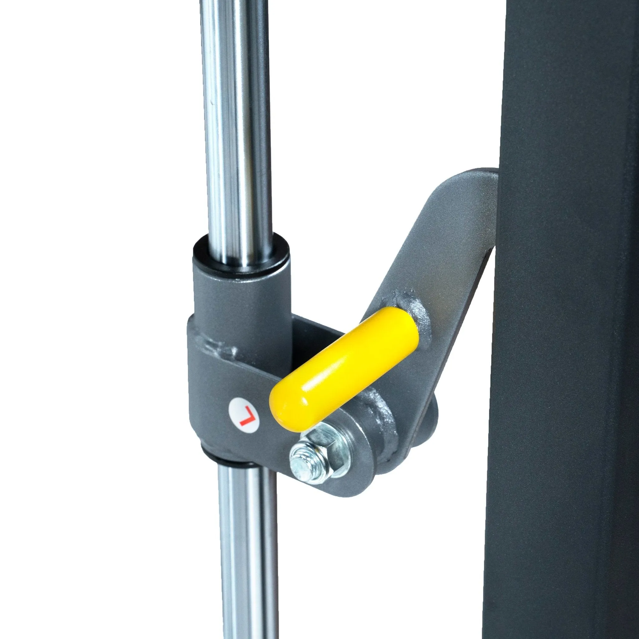 Forza FTS Functional System