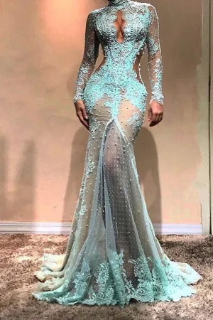 Gorgeous Long Sleeves Mermaid Evening Dress Lace Formal Dress
