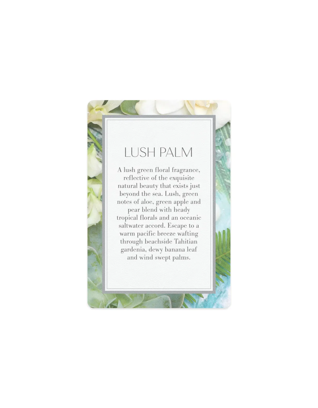 GWP - Scented Card - Lush Palm