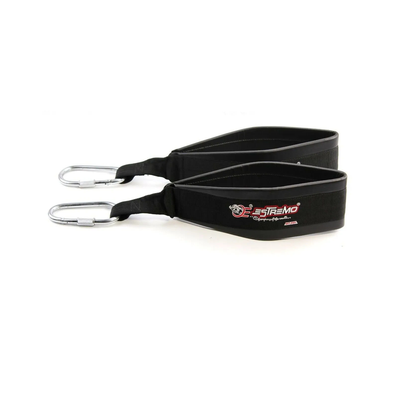 Hanging Ab Sling Straps - Black