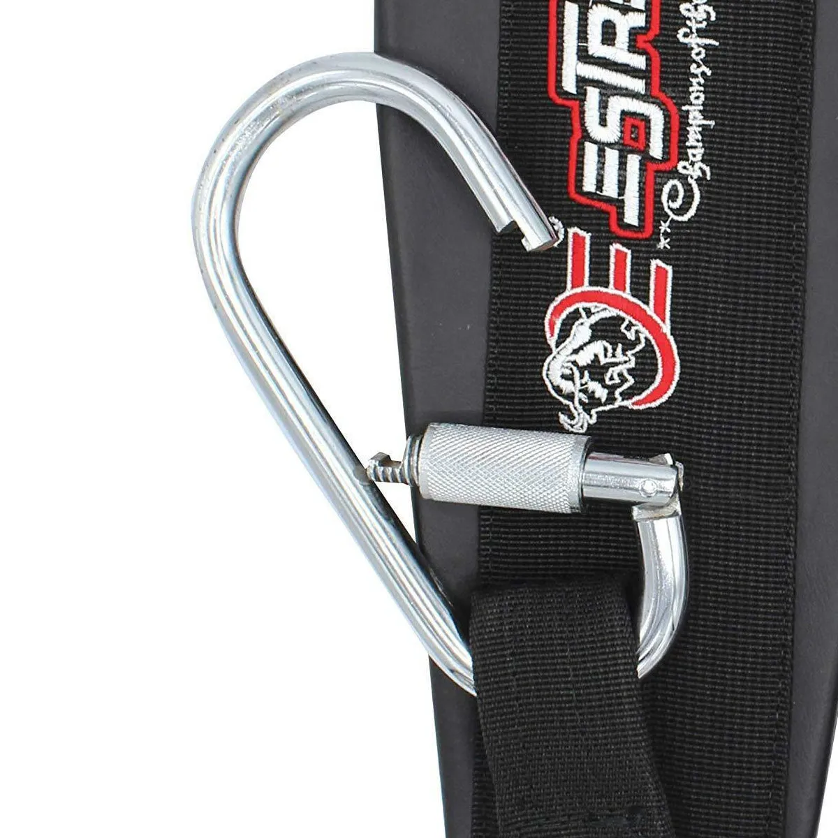 Hanging Ab Sling Straps - Black