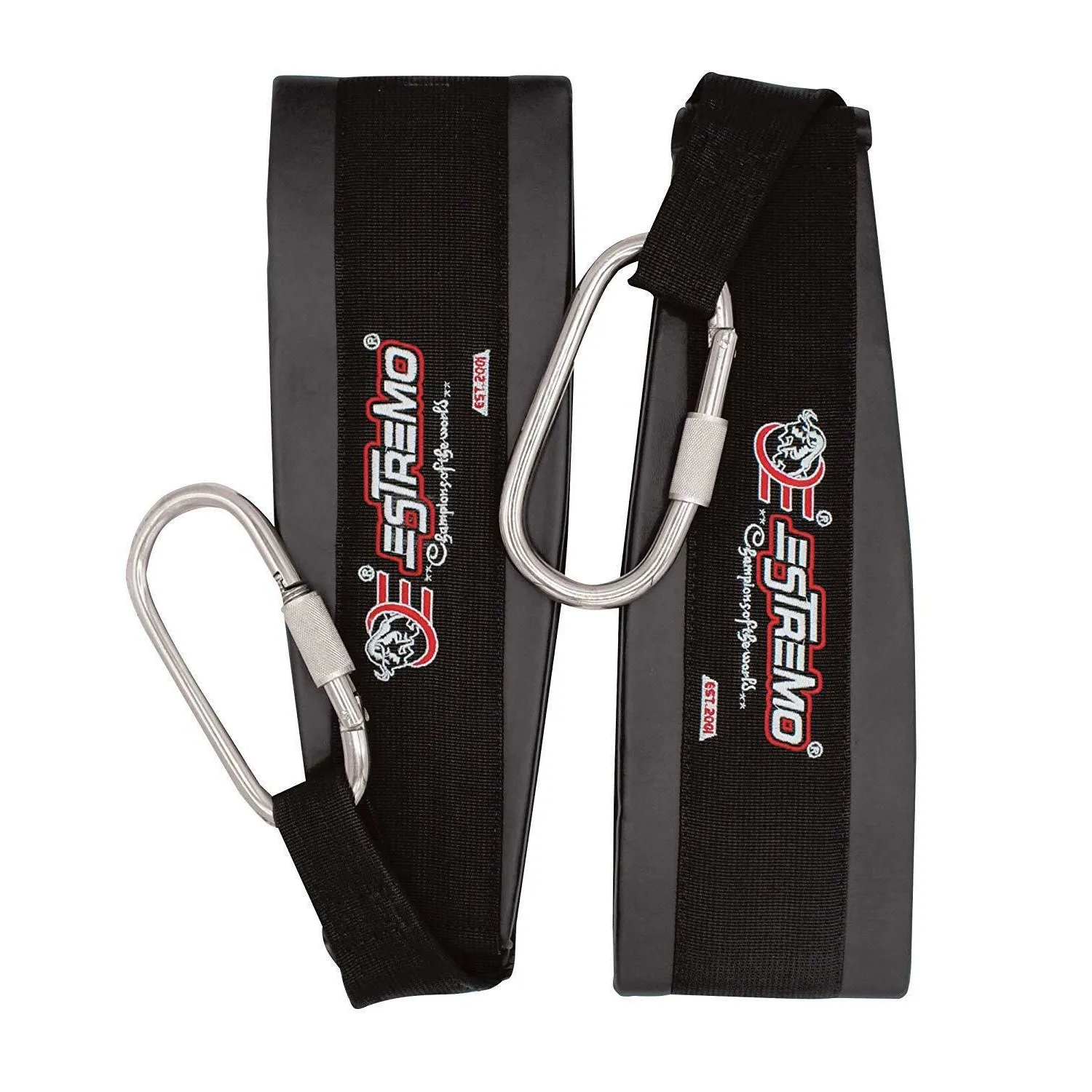 Hanging Ab Sling Straps - Black