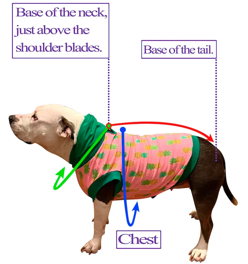 Happy Hippos - PAWJama with Fuchsia Trim & Neck