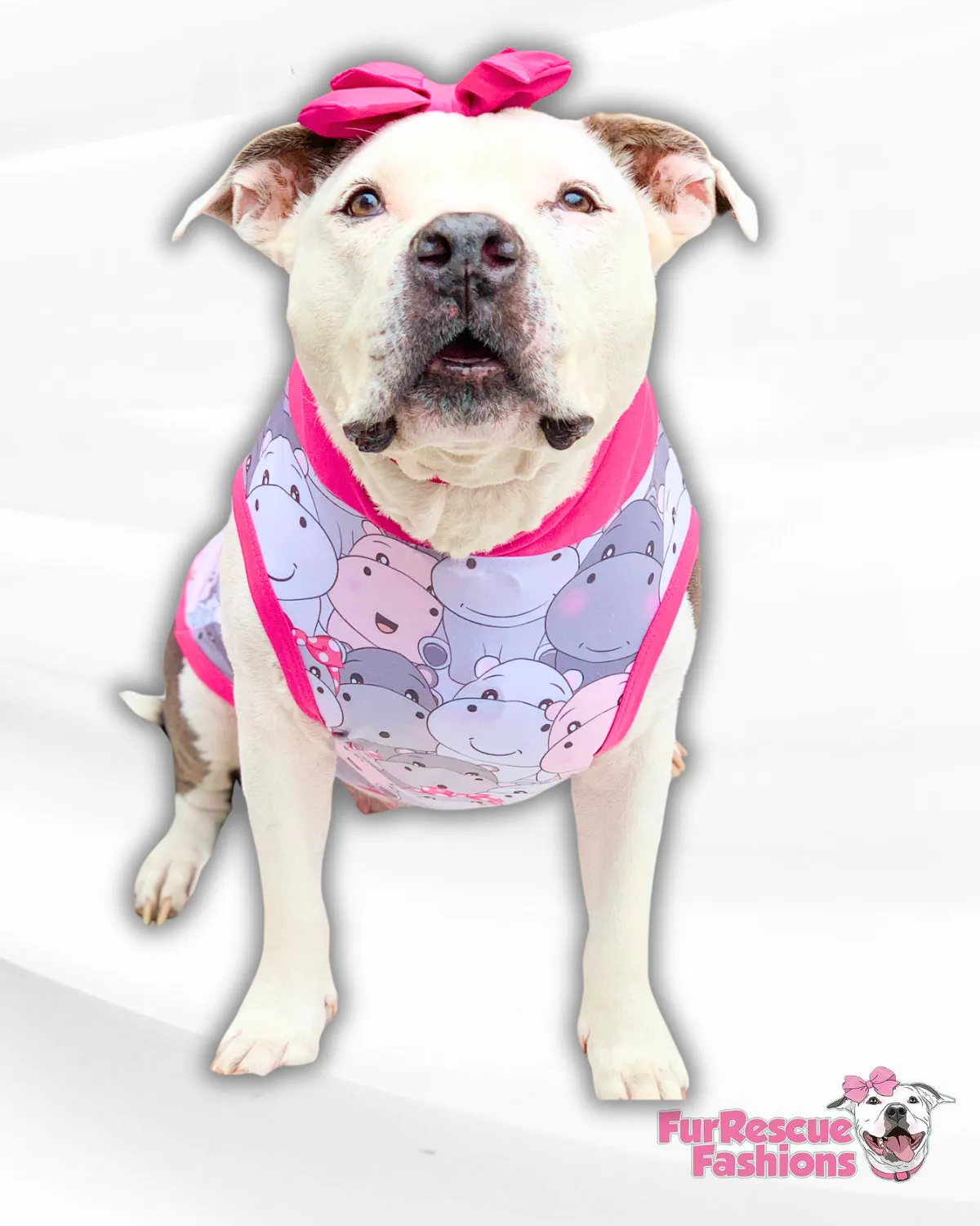 Happy Hippos - PAWJama with Fuchsia Trim & Neck