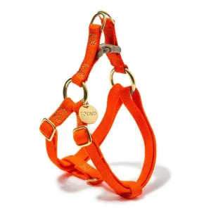 Harness | Found My Animal