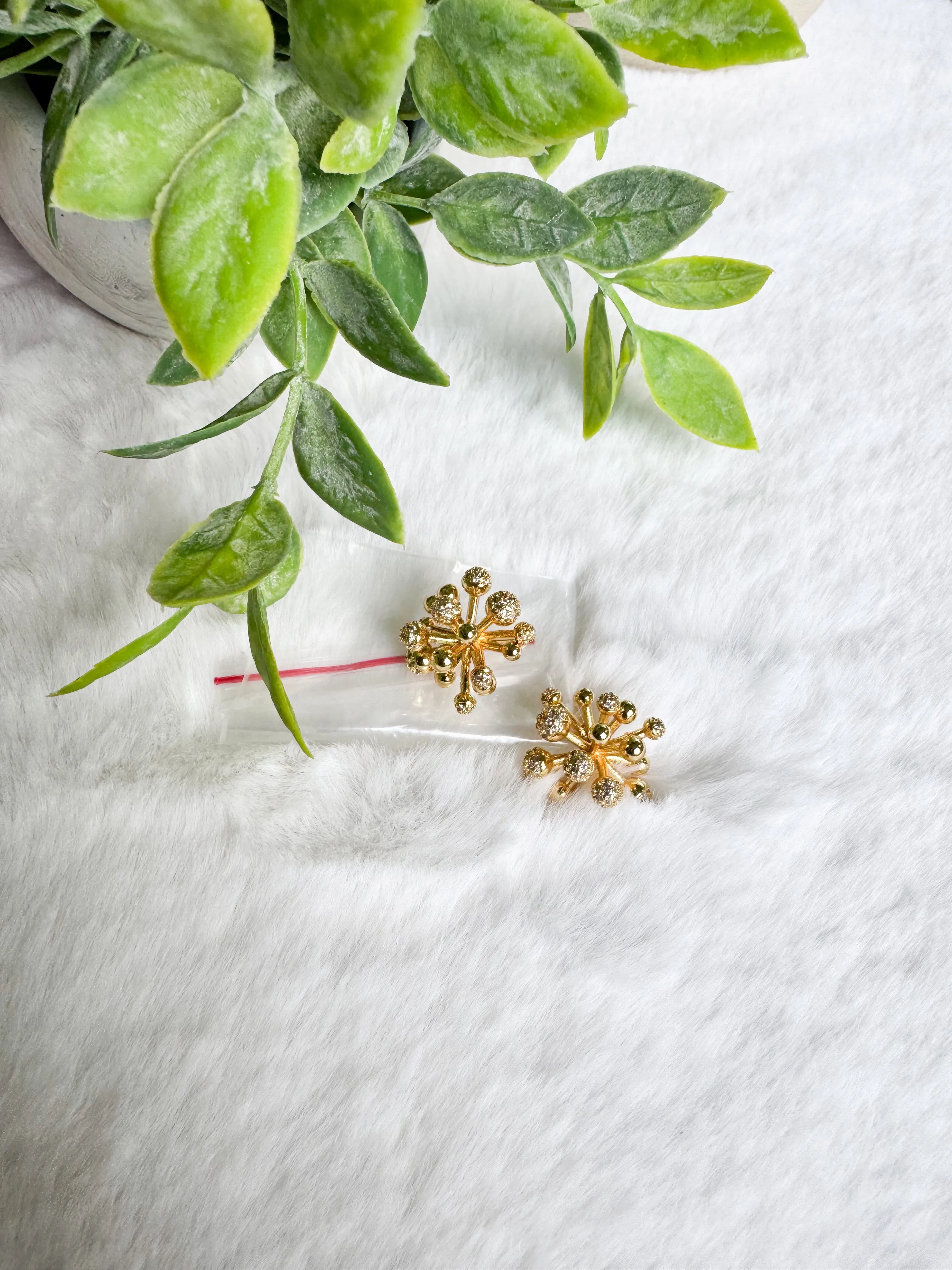 Hipatia earrings