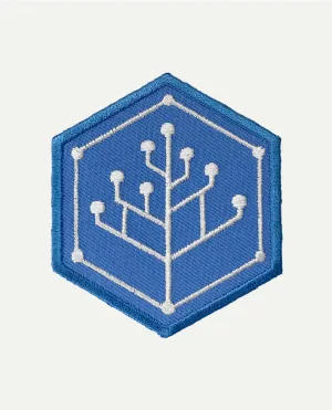 IPLD Hex Patch