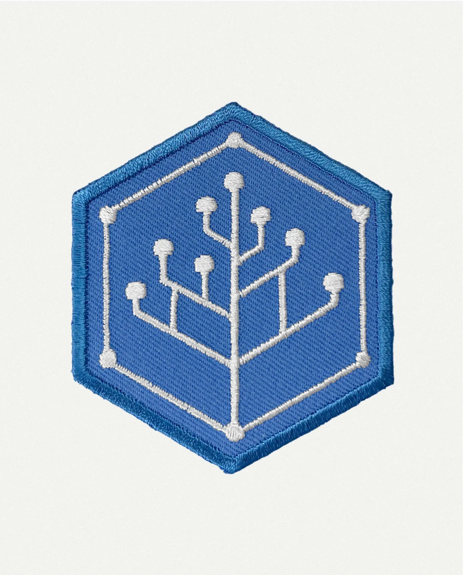 IPLD Hex Patch