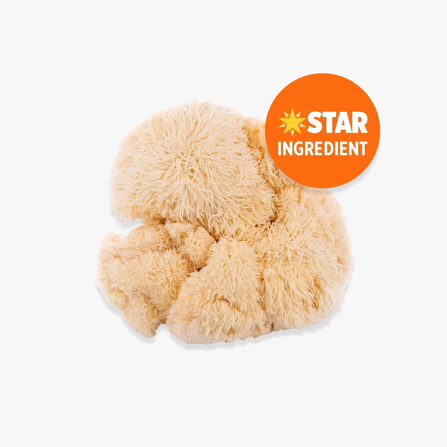 Lion's Mane Extract 240,000mg