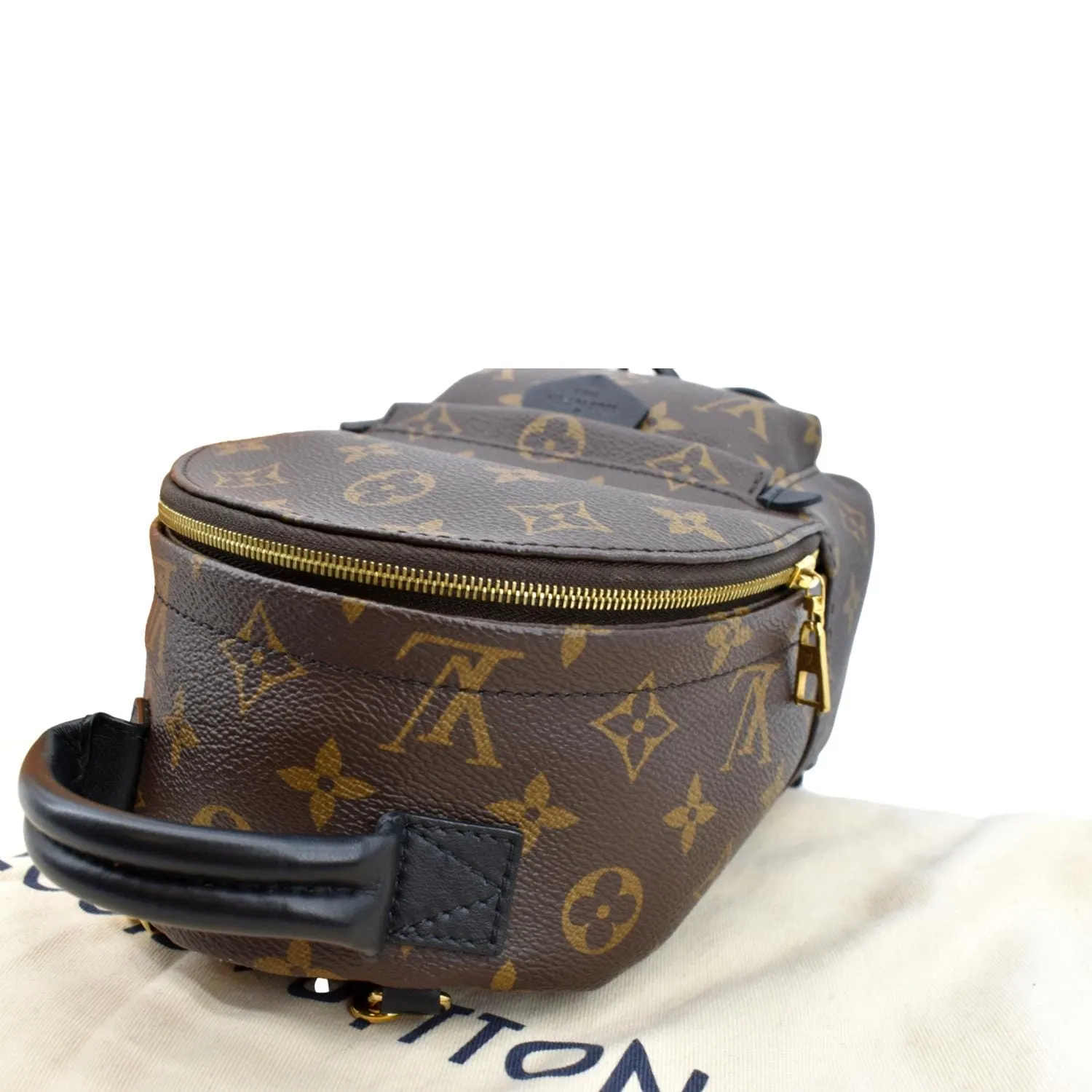 LOUIS VUITTON Palm Springs Mini Monogram Canvas Backpack Brown