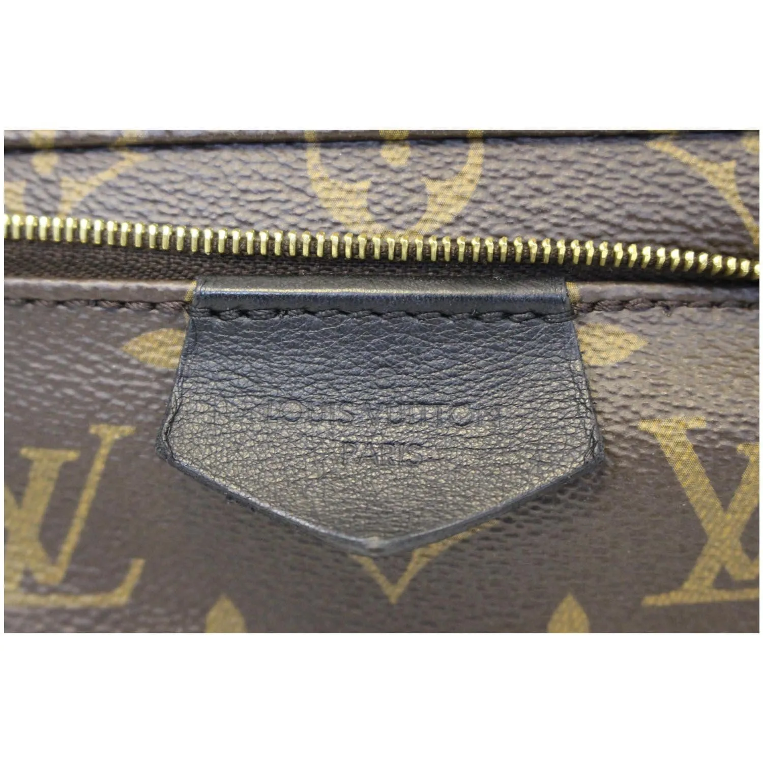 LOUIS VUITTON Palm Springs MM Monogram Canvas Backpack Bag