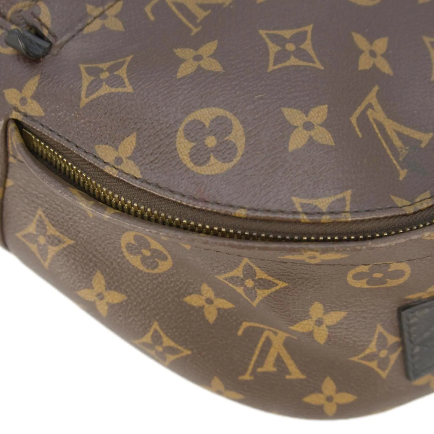 LOUIS VUITTON Palm Springs PM Monogram Canvas Backpack Brown