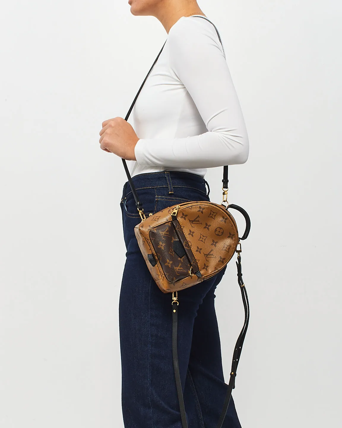 Louis Vuitton Reverse Monogram Canvas Palm Spring Mini Backpack