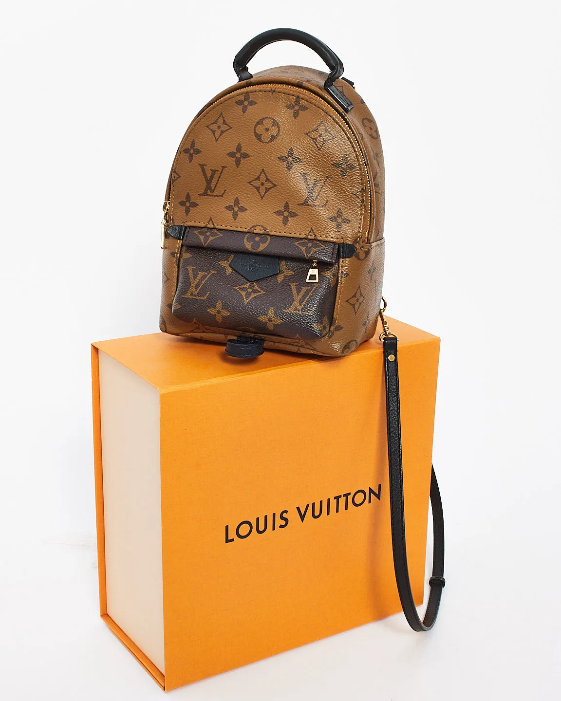 Louis Vuitton Reverse Monogram Canvas Palm Spring Mini Backpack