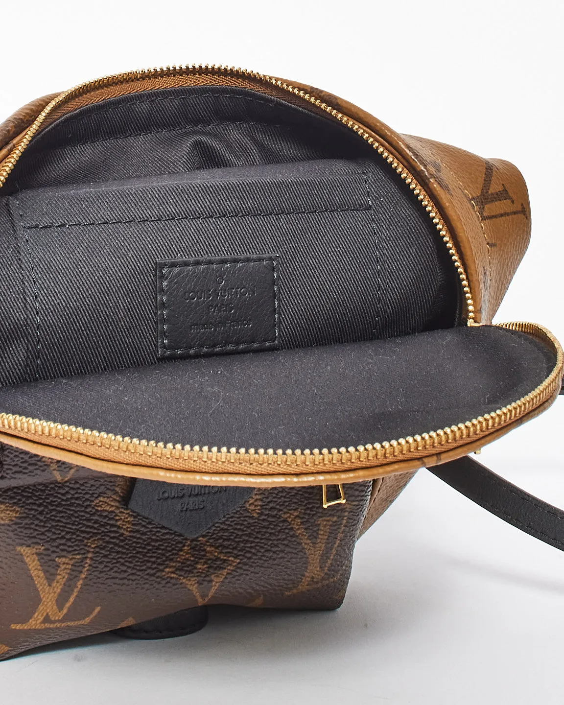 Louis Vuitton Reverse Monogram Canvas Palm Spring Mini Backpack
