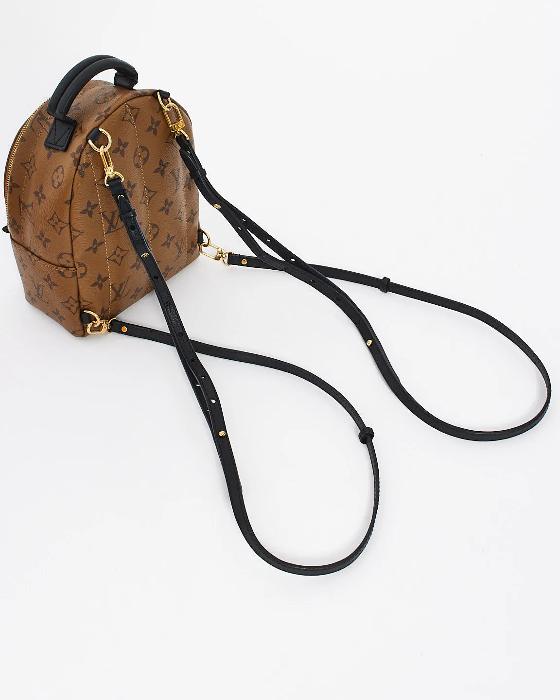 Louis Vuitton Reverse Monogram Canvas Palm Spring Mini Backpack