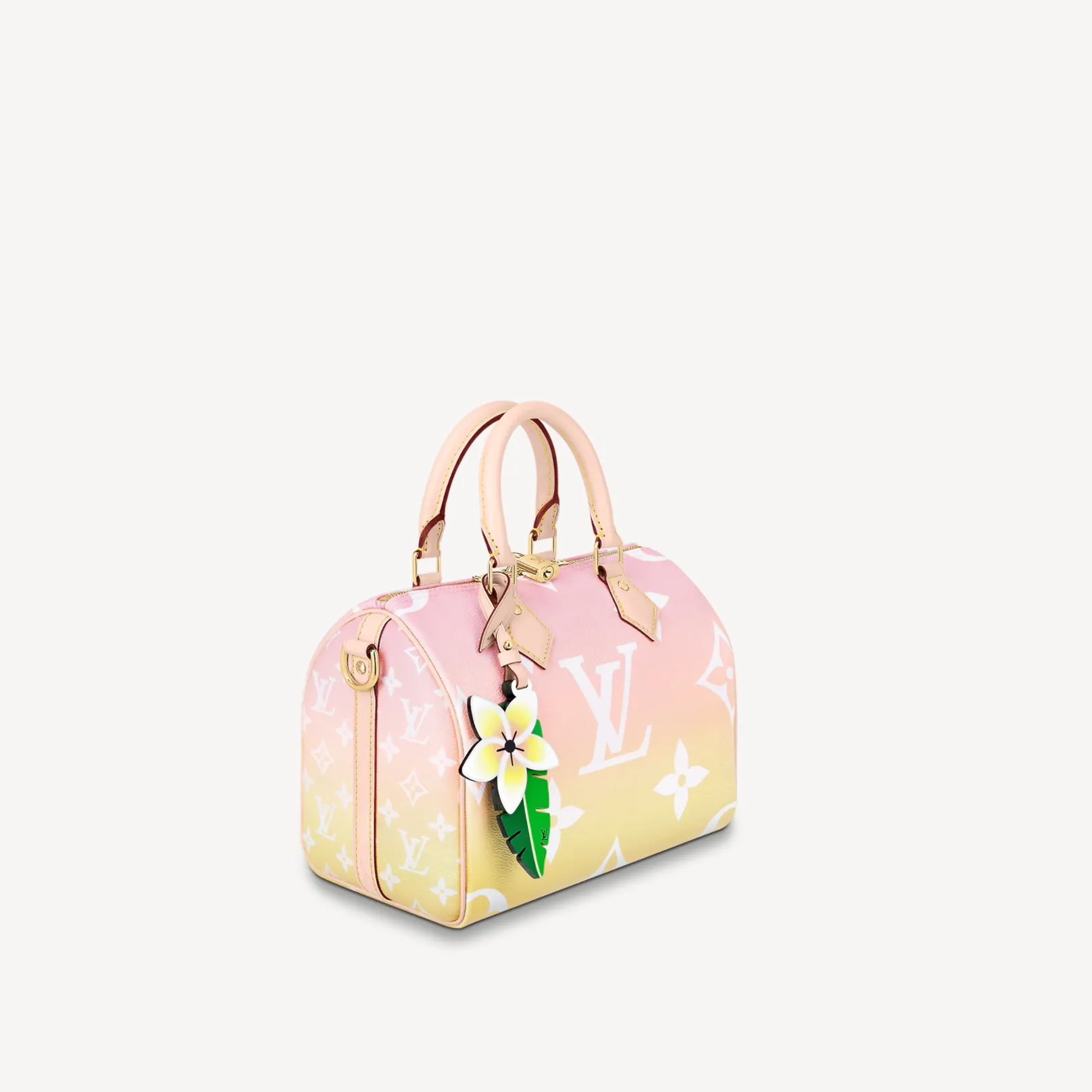 Louis Vuitton Speedy Bandouliere 25 M45724