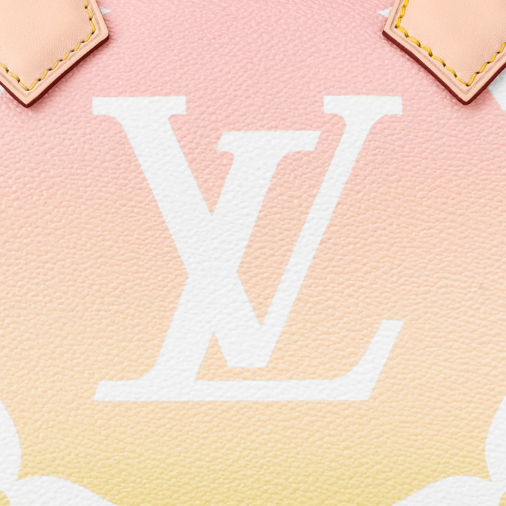 Louis Vuitton Speedy Bandouliere 25 M45724