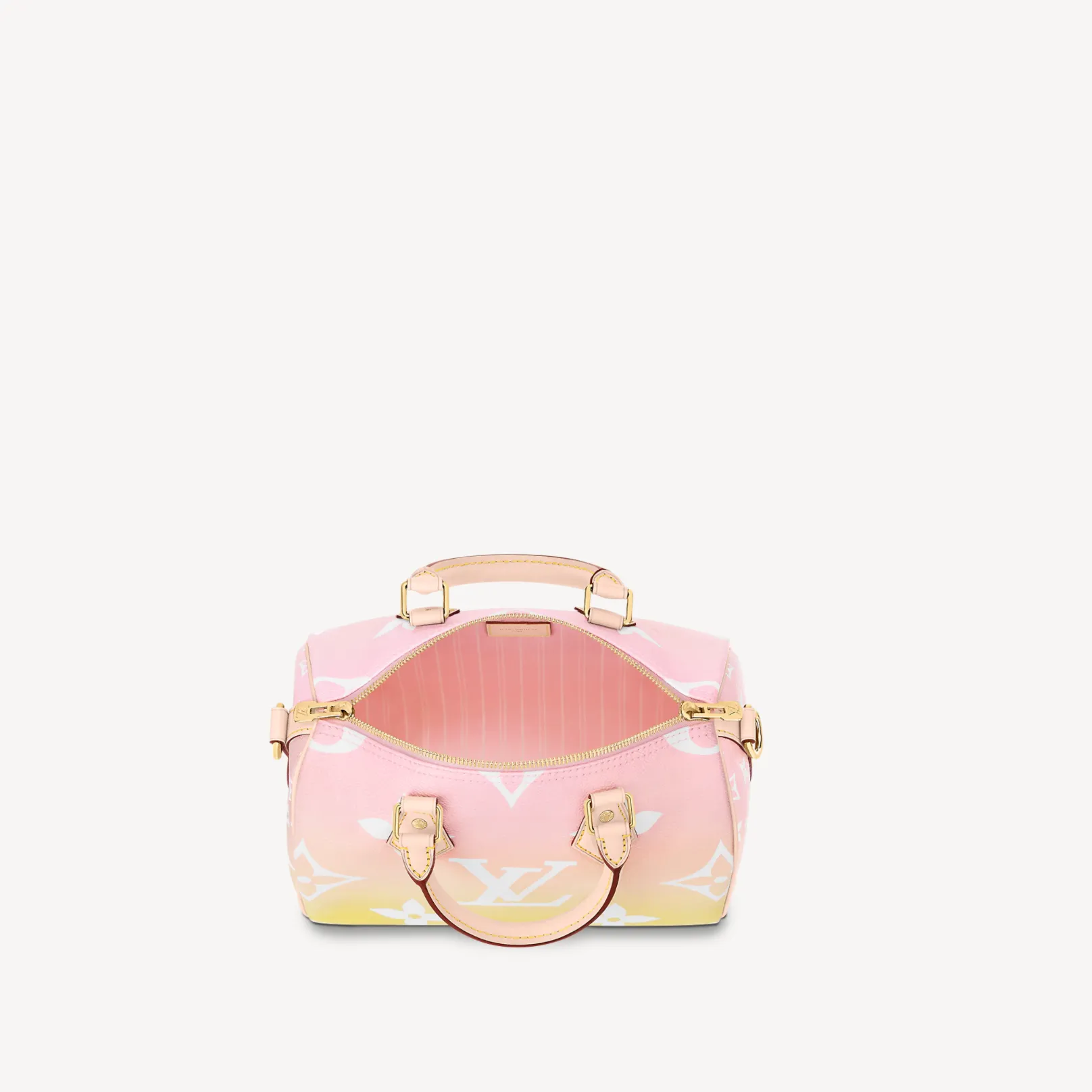 Louis Vuitton Speedy Bandouliere 25 M45724