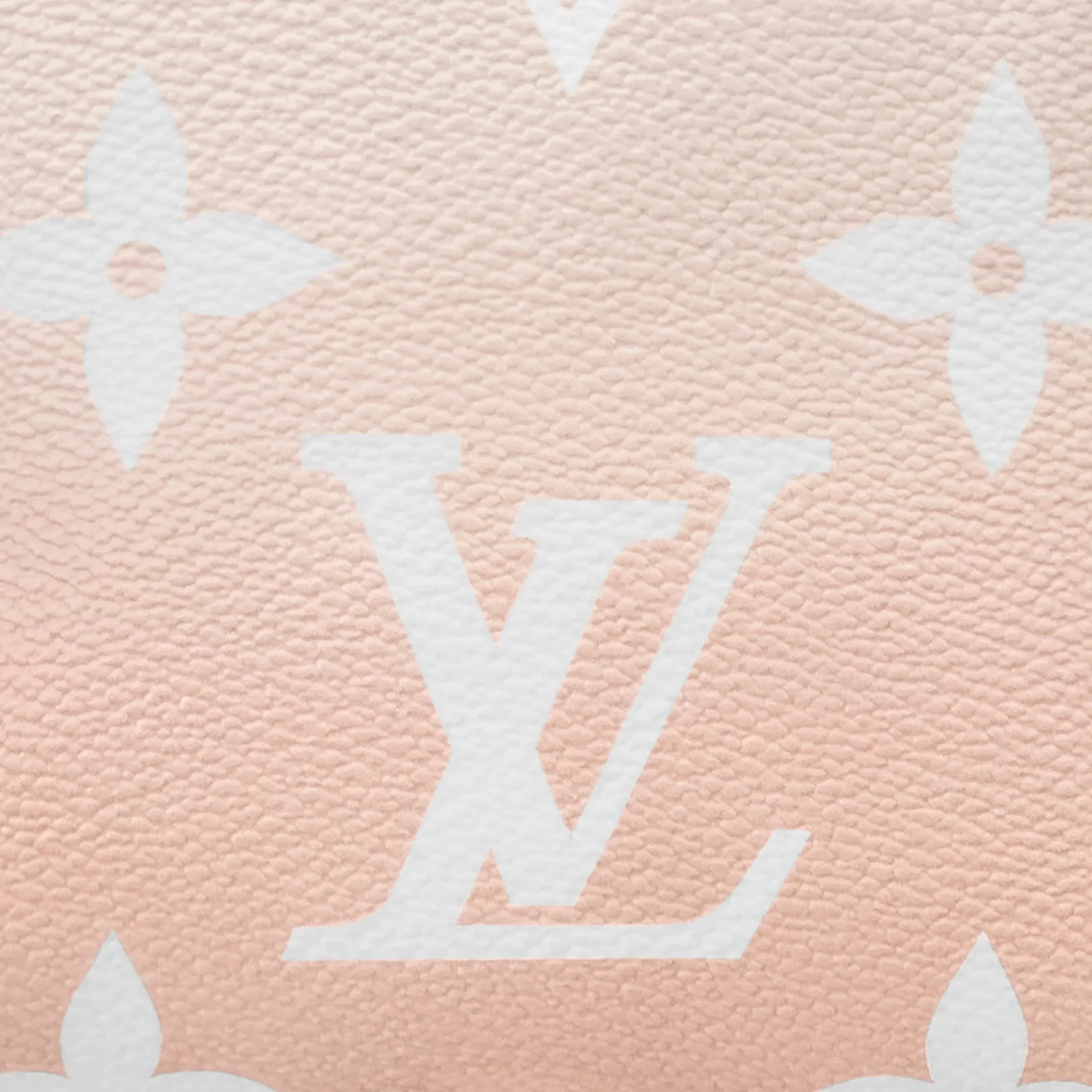 Louis Vuitton Tiny Backpack M45764
