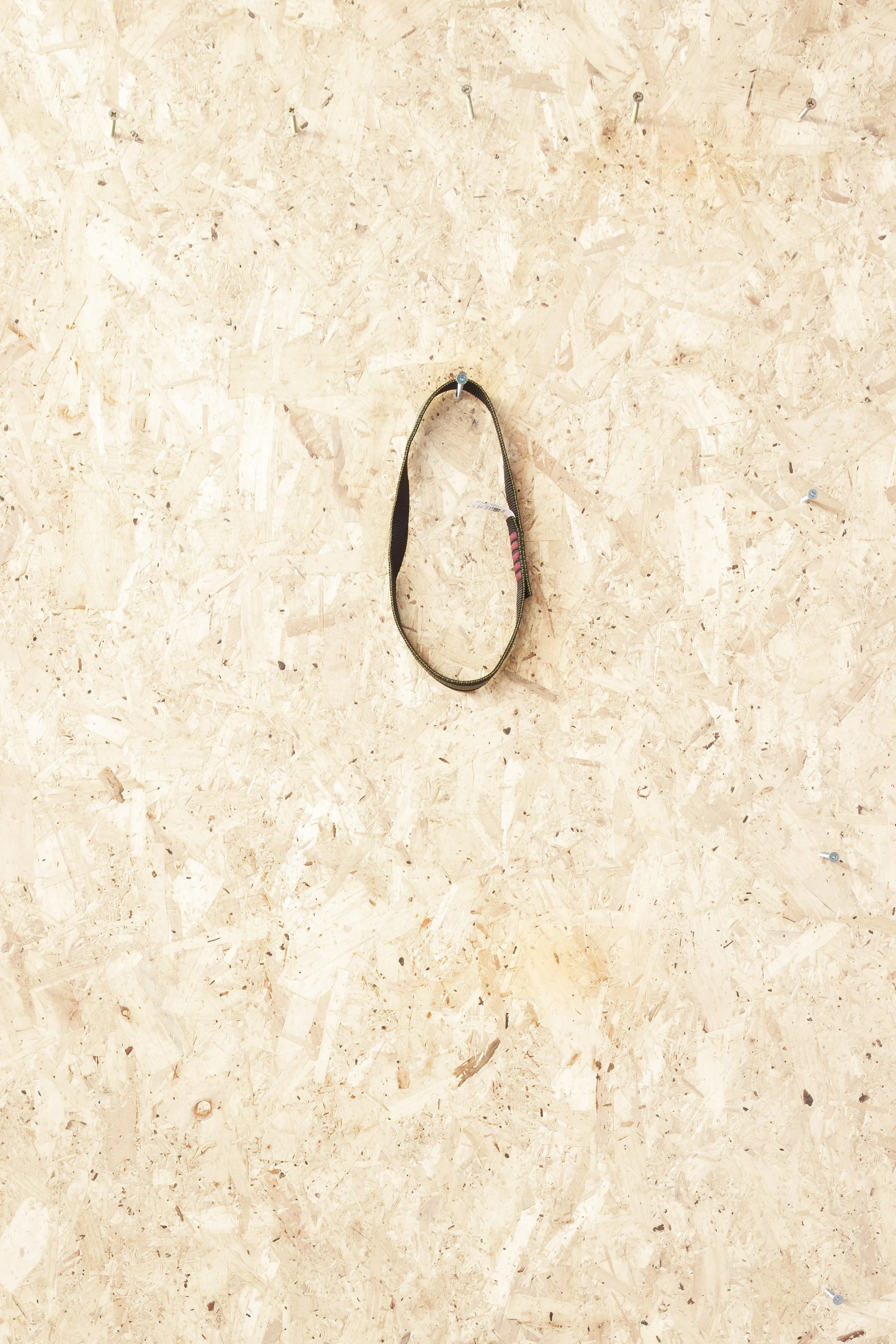 Lyon - Nylon Sling 25mm