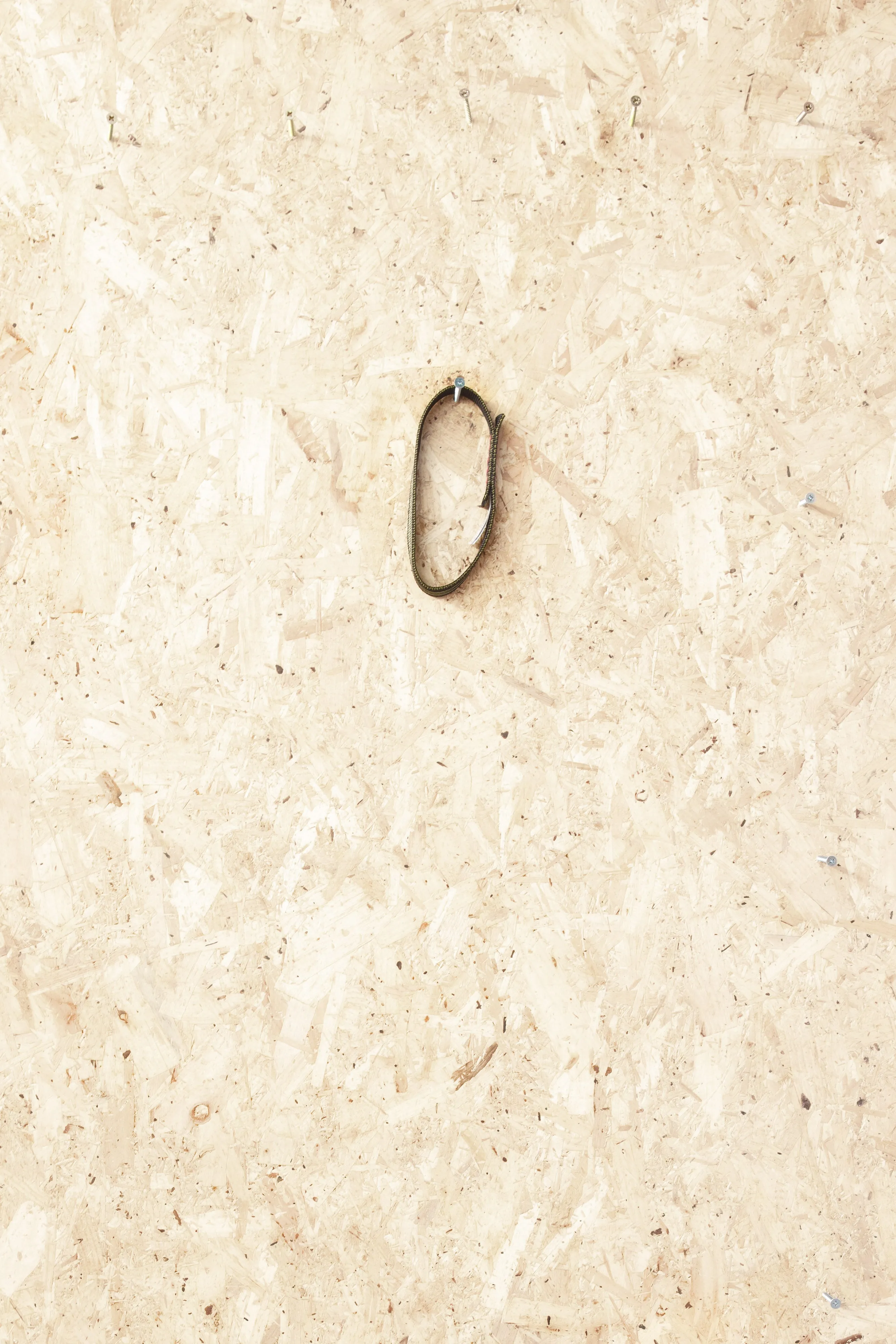 Lyon - Nylon Sling 25mm