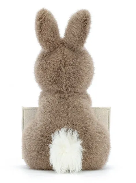 Messenger Bunny