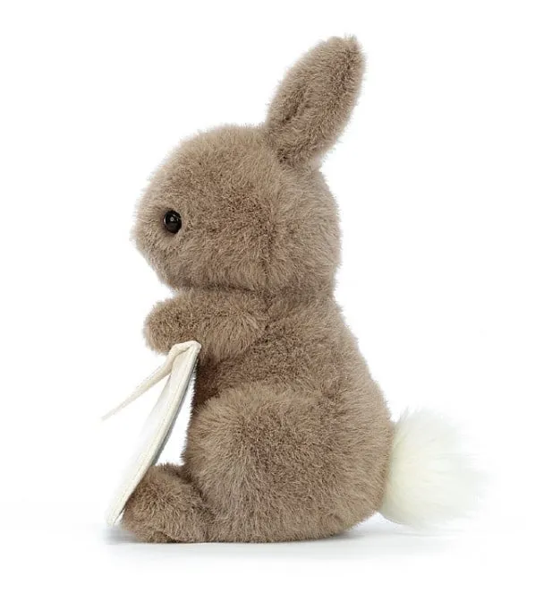 Messenger Bunny
