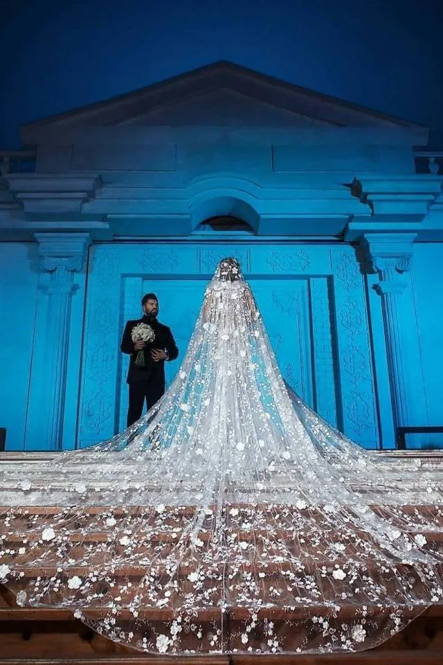 Modern V neck Long Wedding Dress with See through Long Train