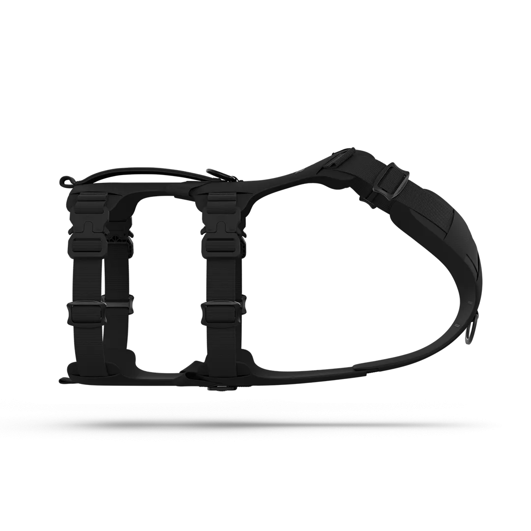 Muse™ harness - Black