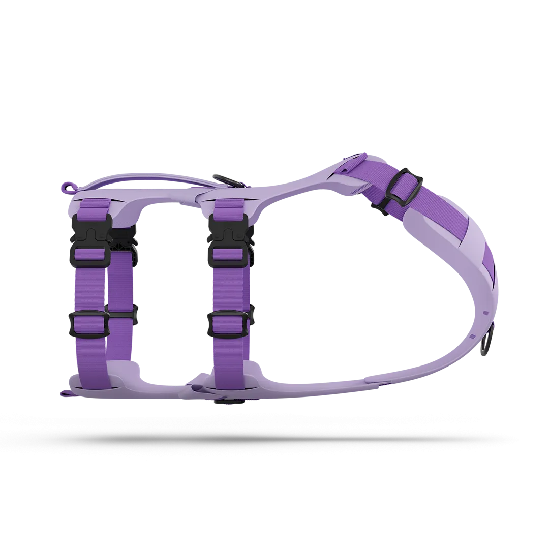 Muse™ harness - Lilas