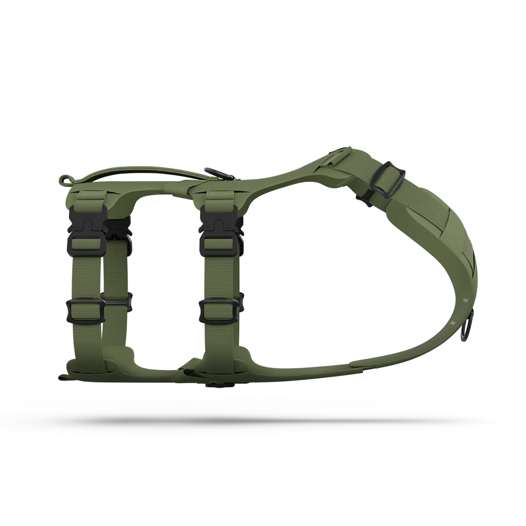 Muse™ harness - Trail Green
