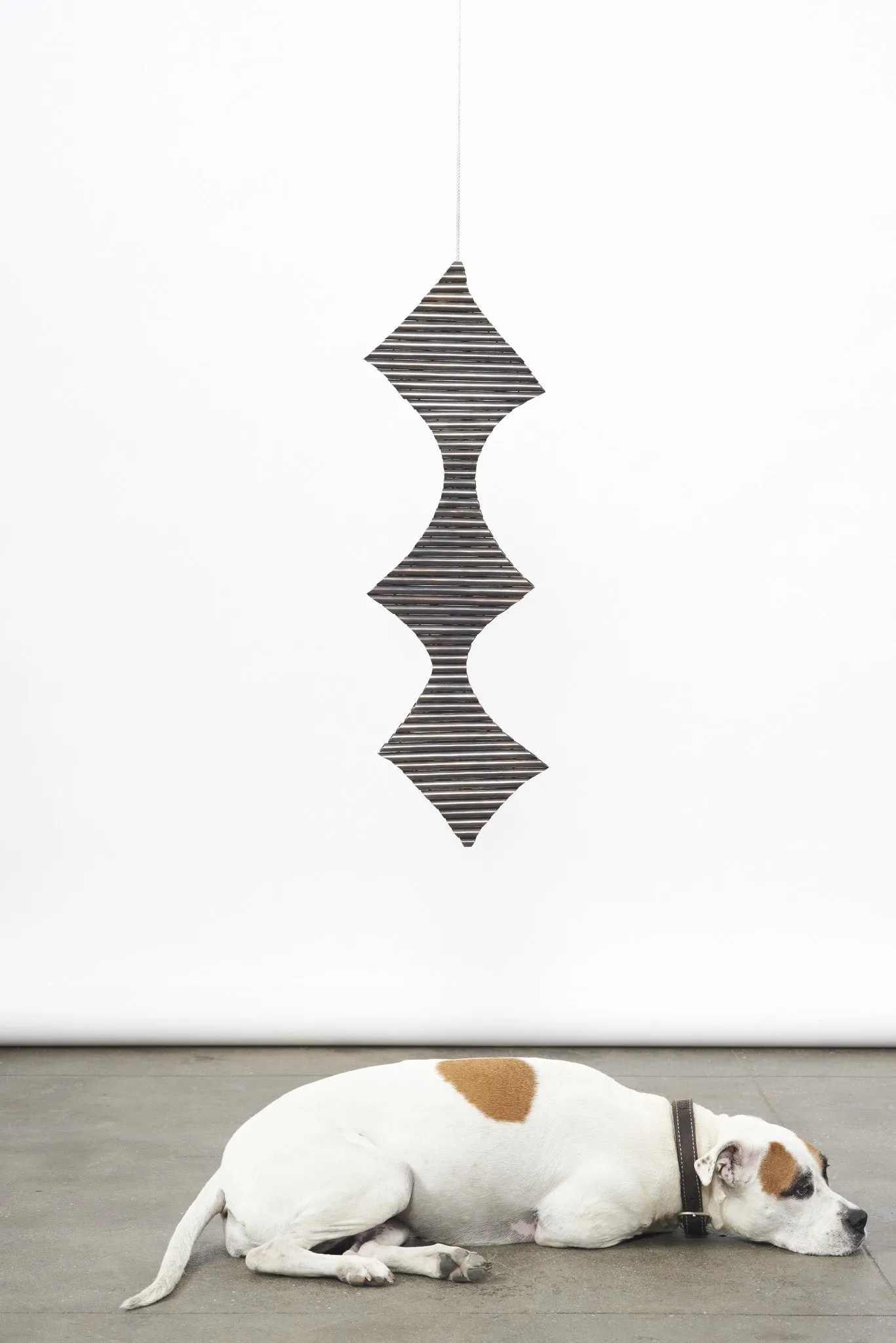 Nester, 2013