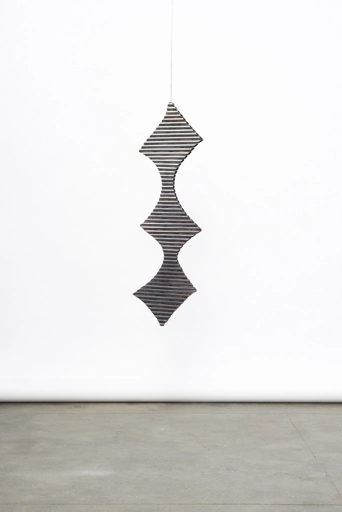 Nester, 2013