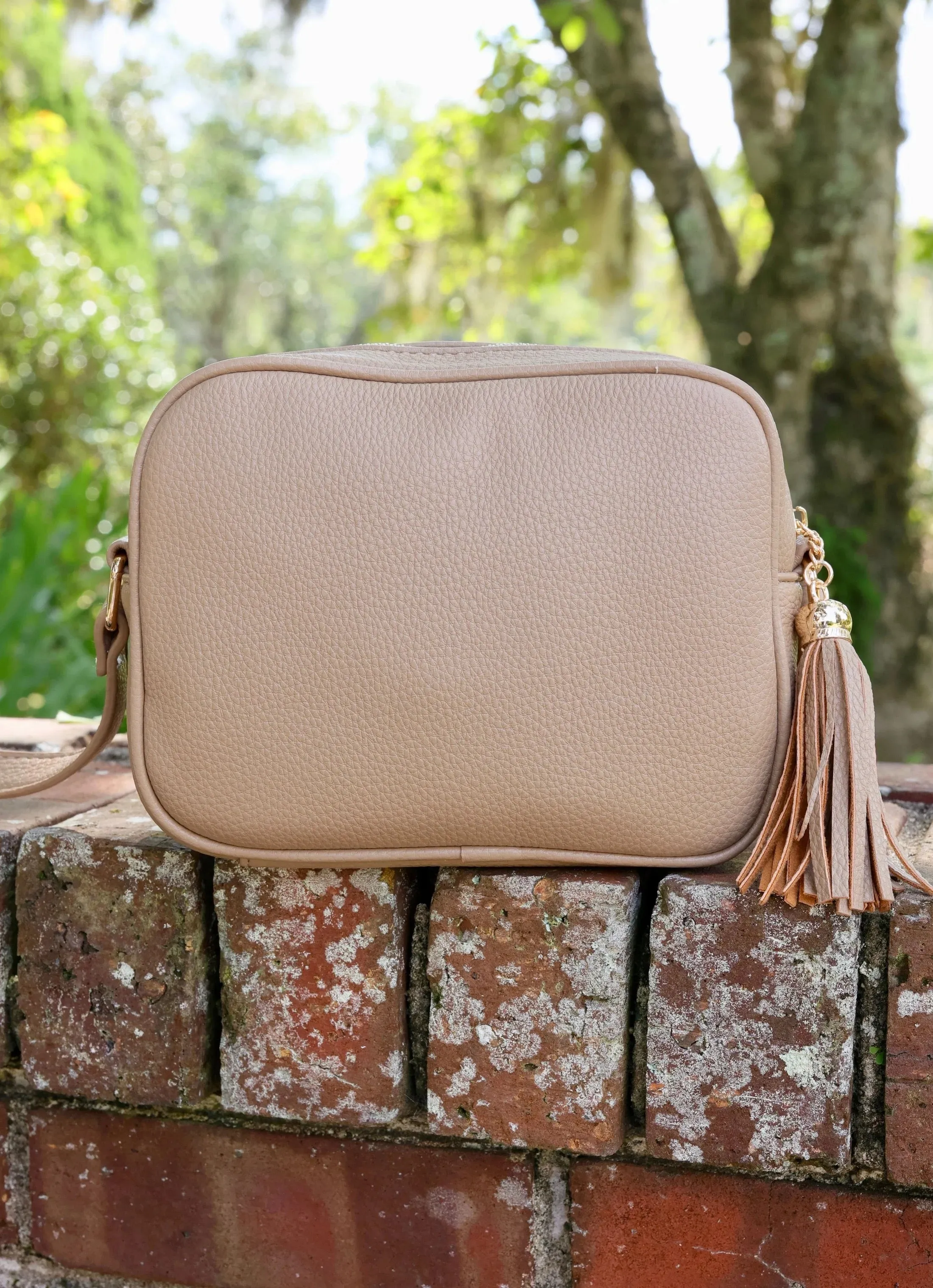 RYLIE CROSSBODY WITH TASSEL-TAUPE