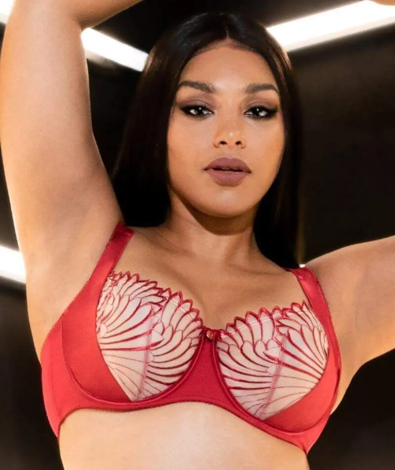 Scantilly Fallen Angel Balcony Bra - Garnet Red
