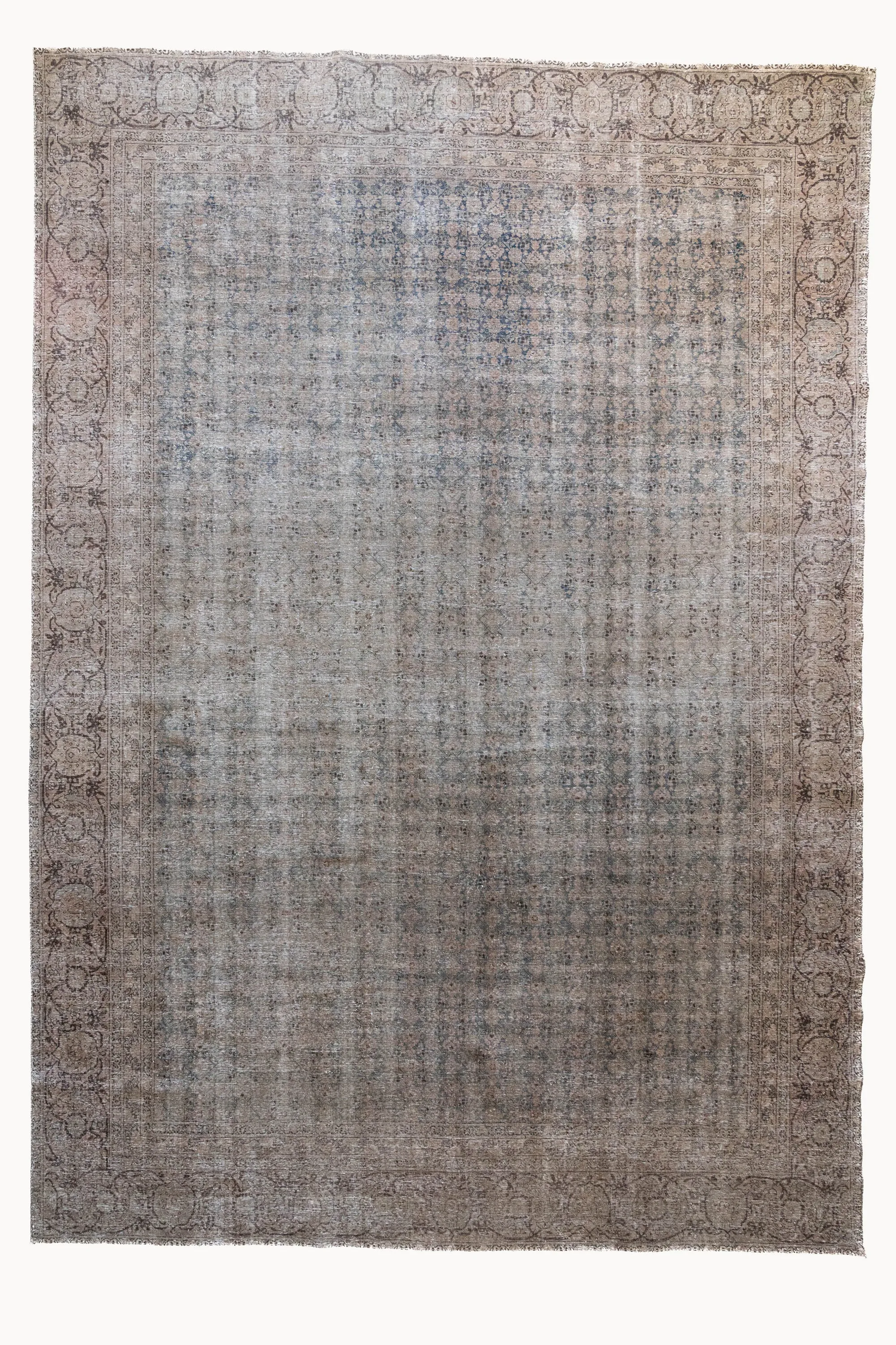 Sheridan | 9'8 x 13'3
