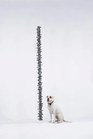 Songbird, 2012