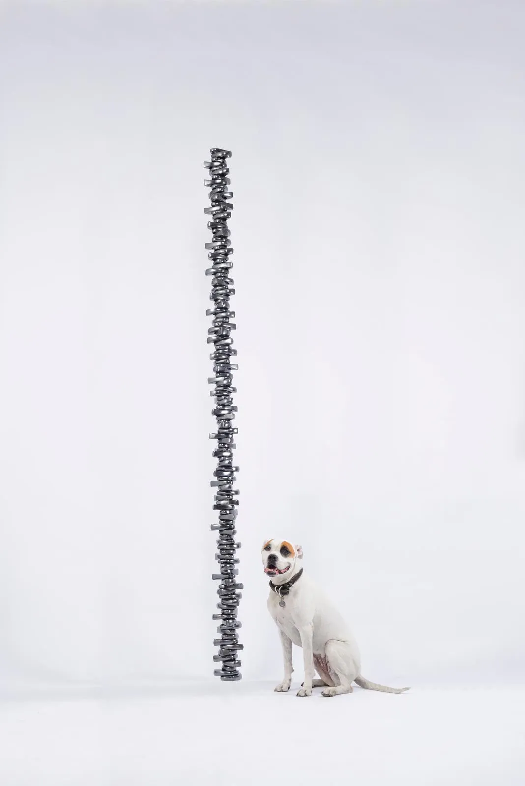 Songbird, 2012