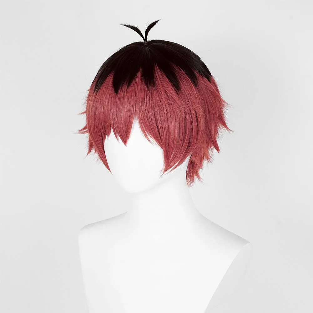 Sousou No Frieren Stark Wig Heat Resistant Synthetic Hair Carnival Cosplay Costume Props