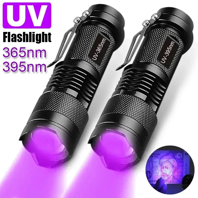 UV Flashlight LED Ultraviolet Torch Zoomable Mini Ultra Violet Lights Inspection