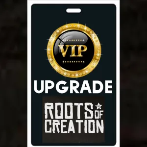 VIP Upgrade (concert ticket not included)